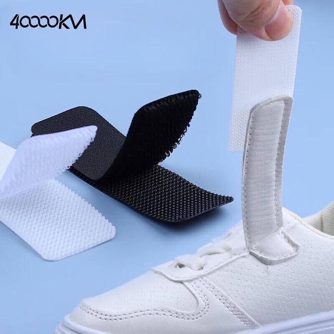 带子是什么海鲜你真的知道吗？